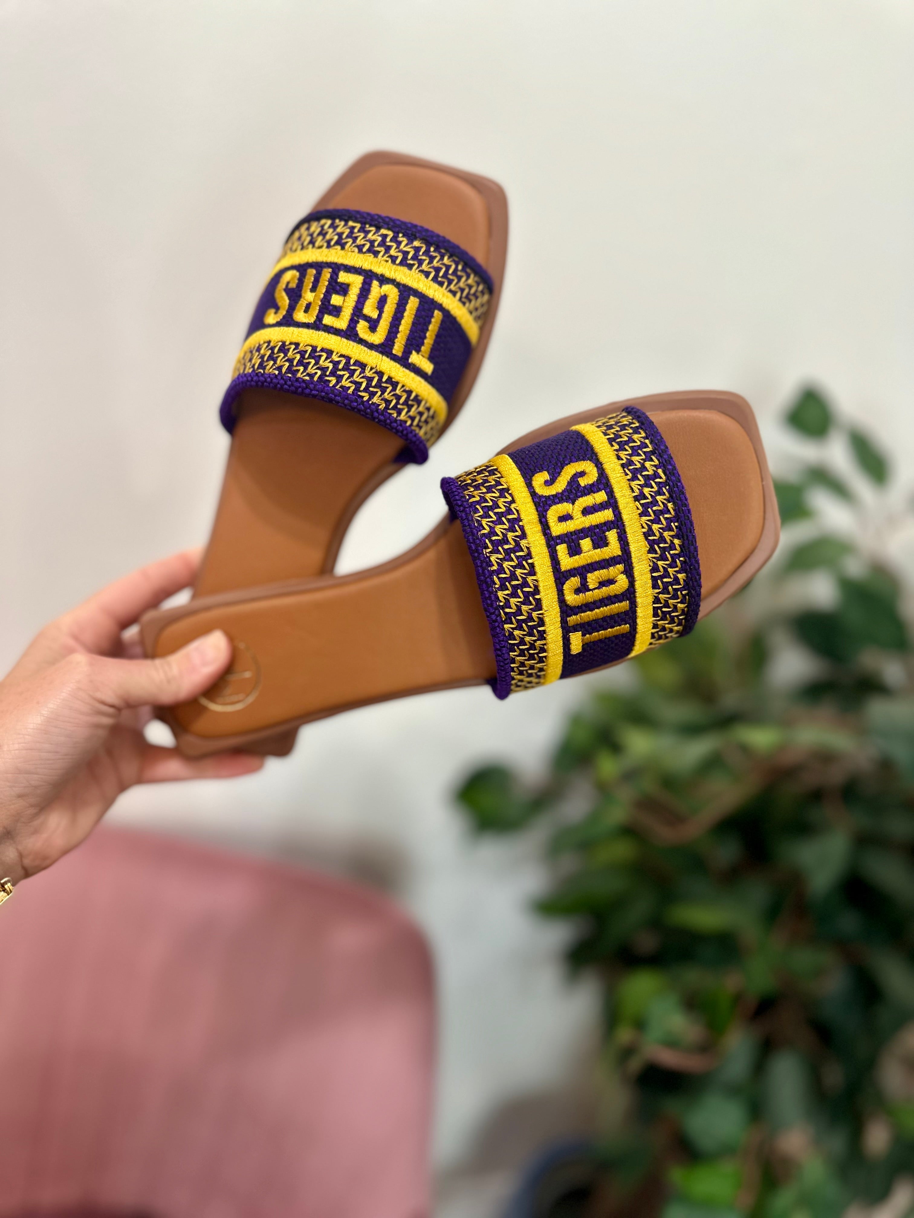 Tigers Game Day Slides