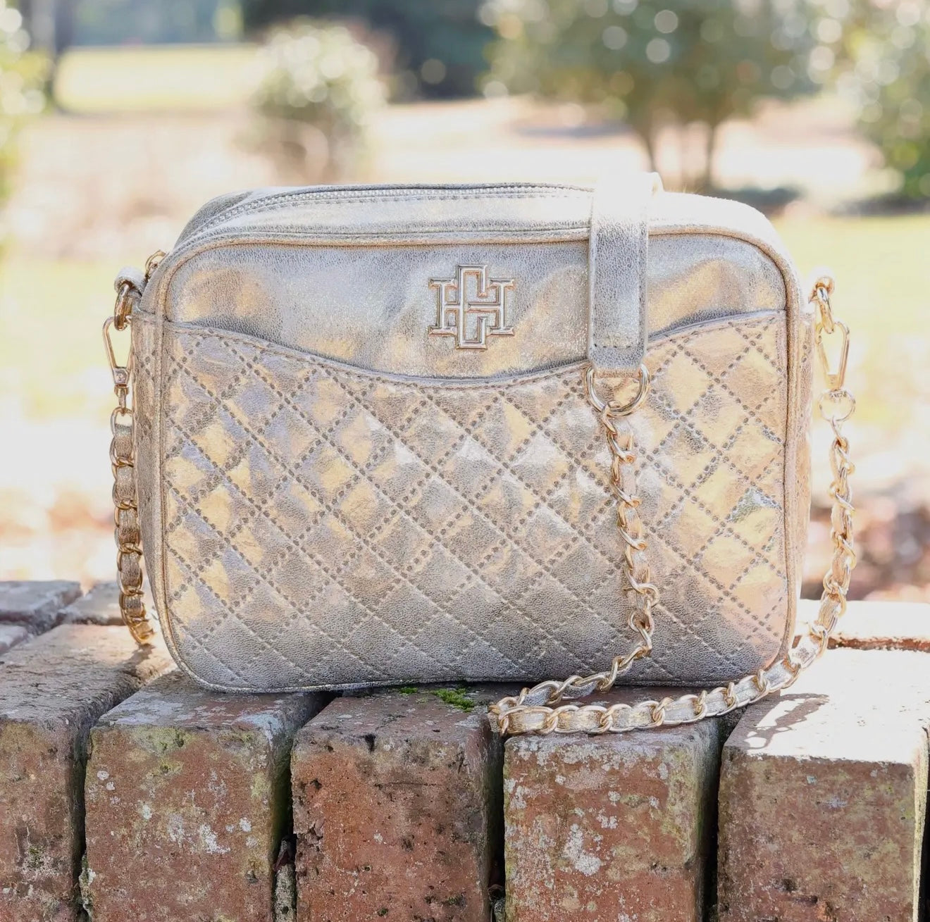 The Champagne Pop Fiona Purse