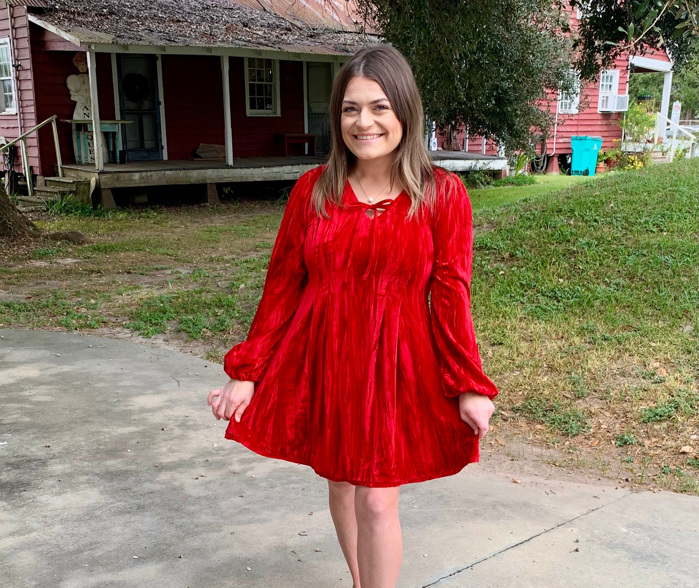 The Red Velvet Dress