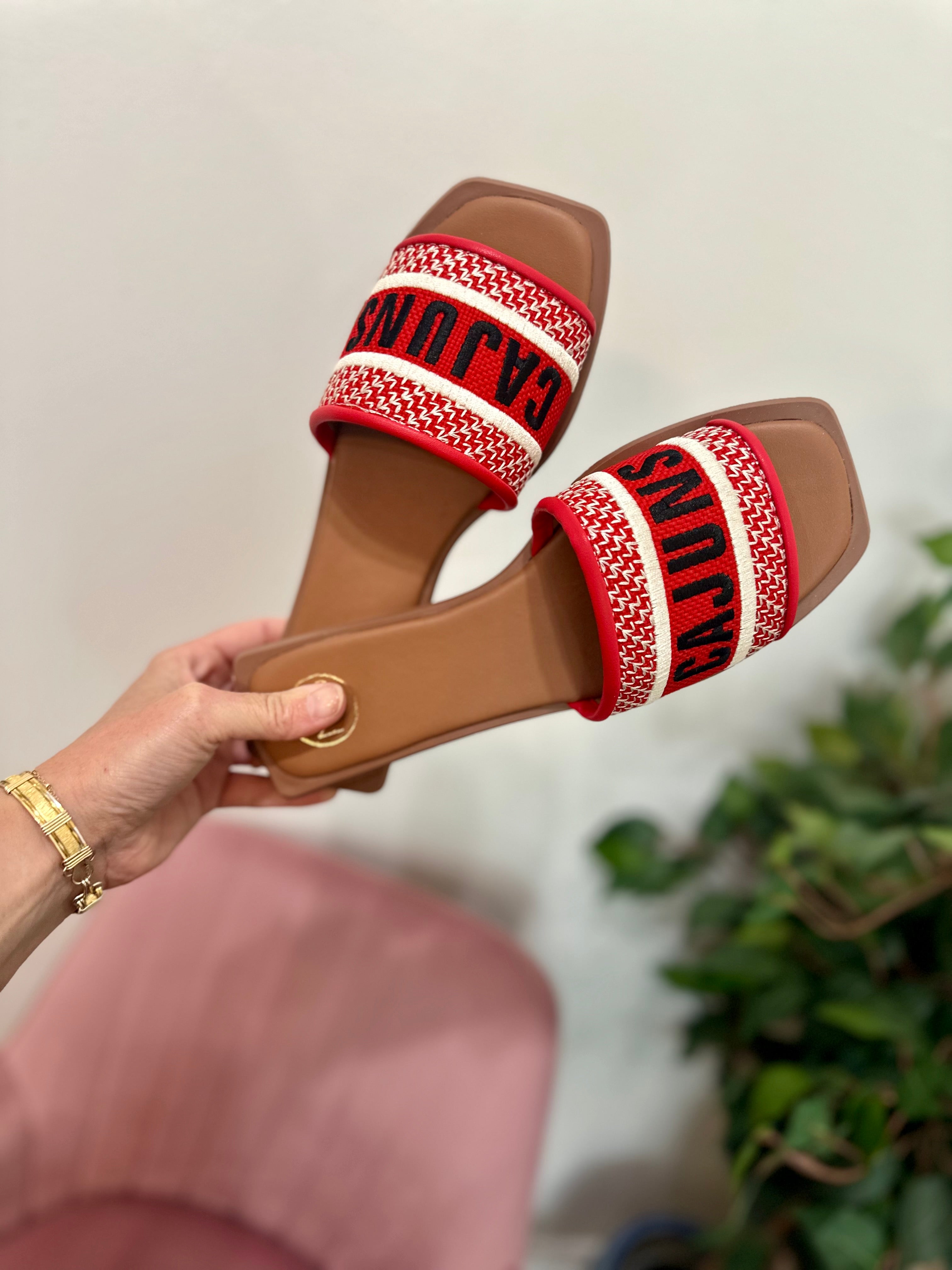 Cajuns Game Day Slides