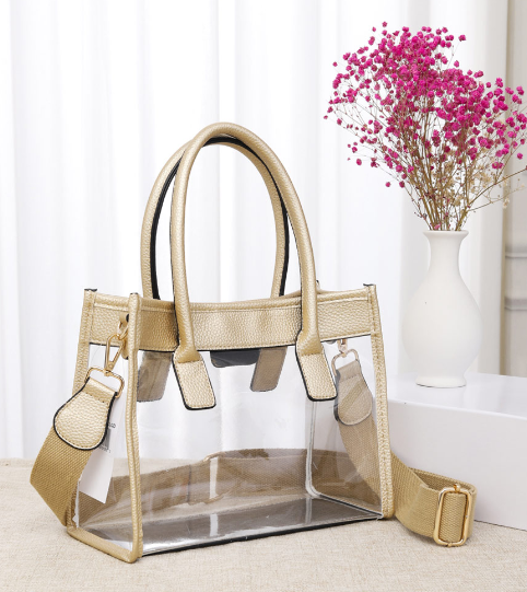 Our Solee Clear Purse