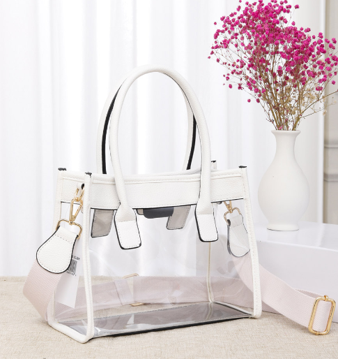 Our Solee Clear Purse