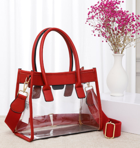 Our Solee Clear Purse