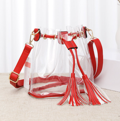 The Arabella Clear Bucket Purse