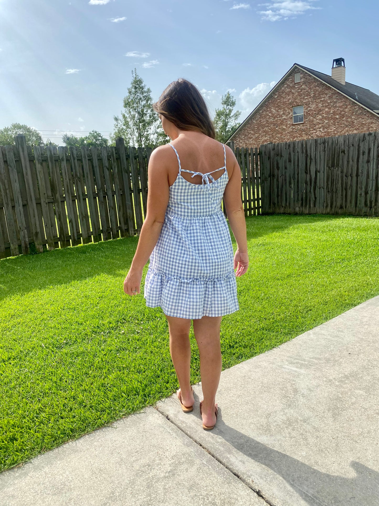 The Blue Gingham Dress